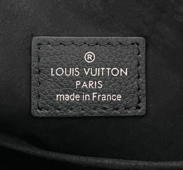 LOUIS VUITTON WHY KNOT PM