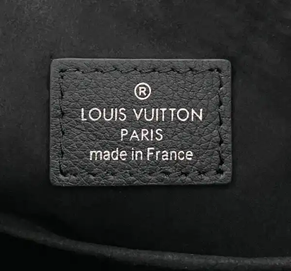 LOUIS VUITTON WHY KNOT PM