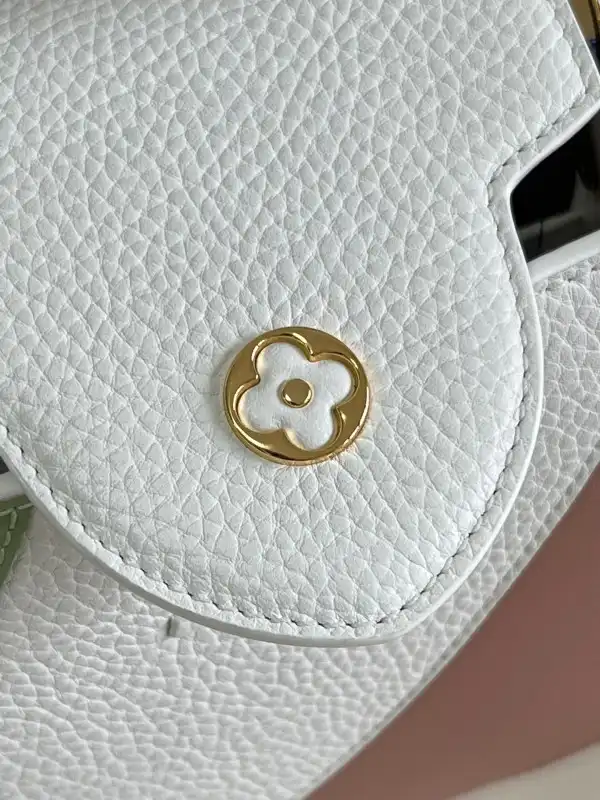 How to buy Cheap LOUIS VUITTON CAPUCINES BB