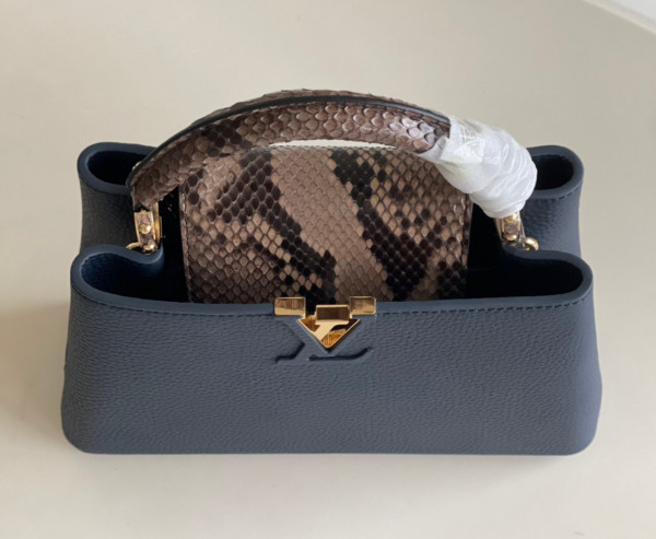 HOT SALE LOUIS VUITTON CAPUCINES BB