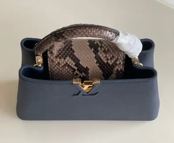 First bag ru LOUIS VUITTON CAPUCINES BB