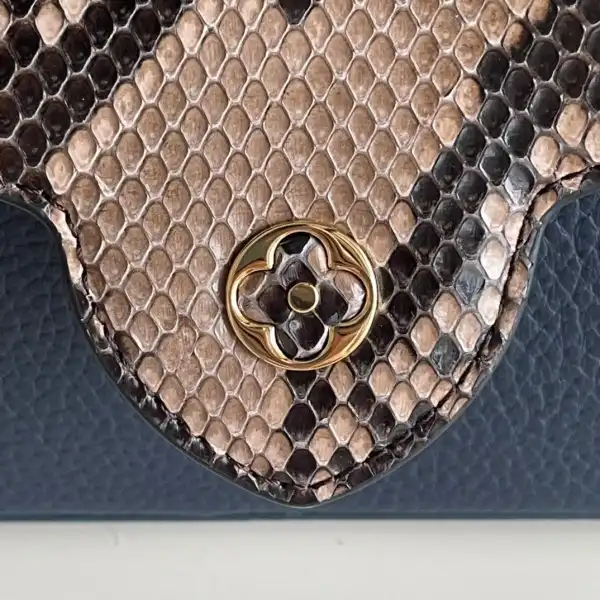 First bag ru LOUIS VUITTON CAPUCINES MINI