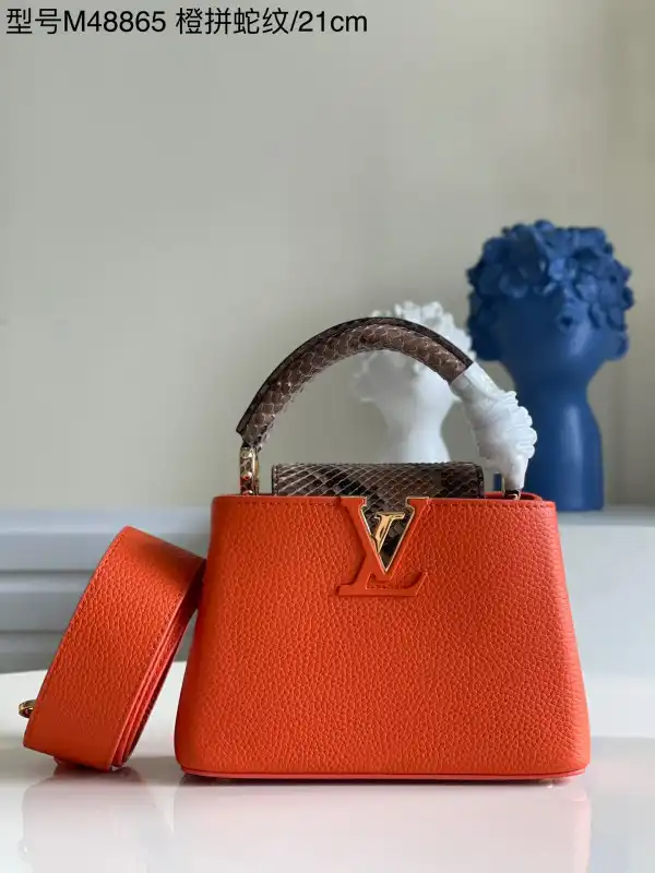 Cheap LOUIS VUITTON CAPUCINES MINI