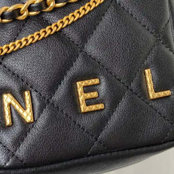 CHANEL camera bag