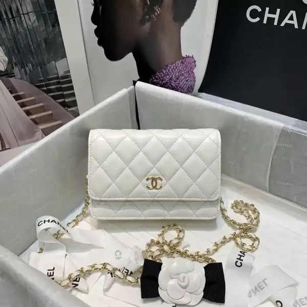 CHANEL MINI WALLET ON CHAIN