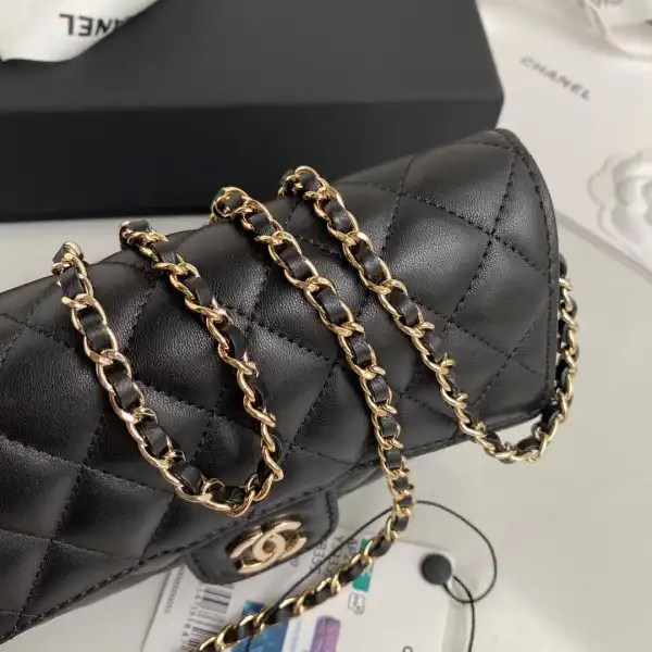 CHANEL GLASSES CASE WITH CHANELASSIC CHAIN