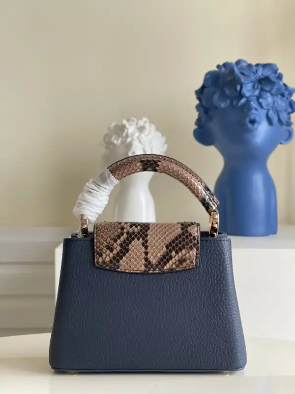 LOUIS VUITTON CAPUCINES MINI