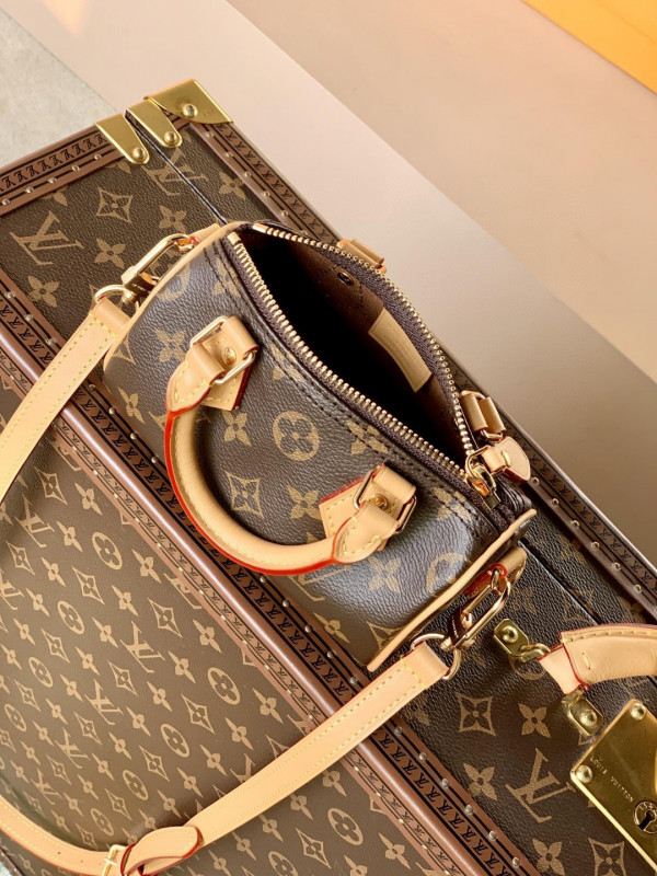 HOT SALE LOUIS VUITTON NANO SPEEDY