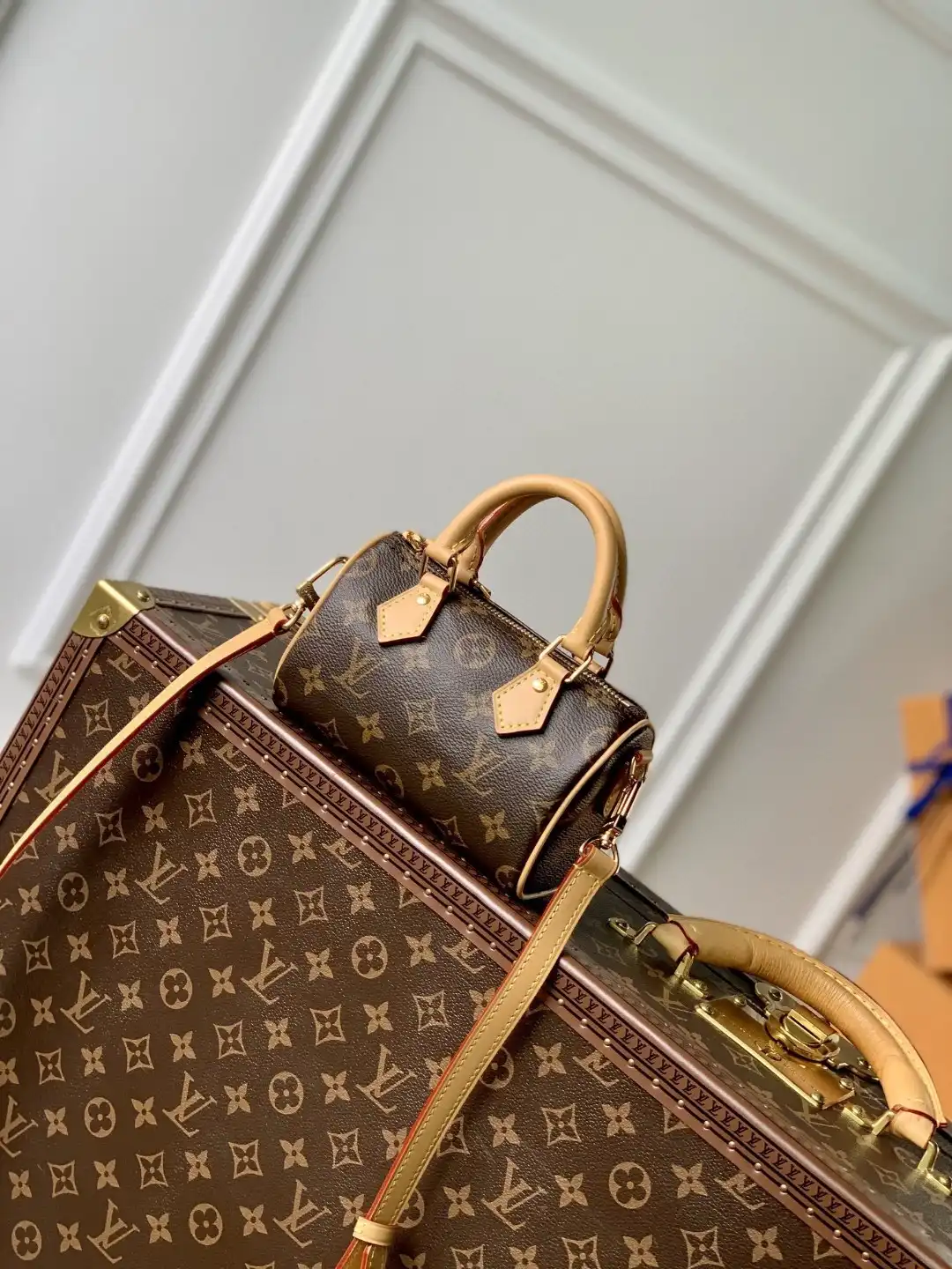 Frstbag ru LOUIS VUITTON NANO SPEEDY