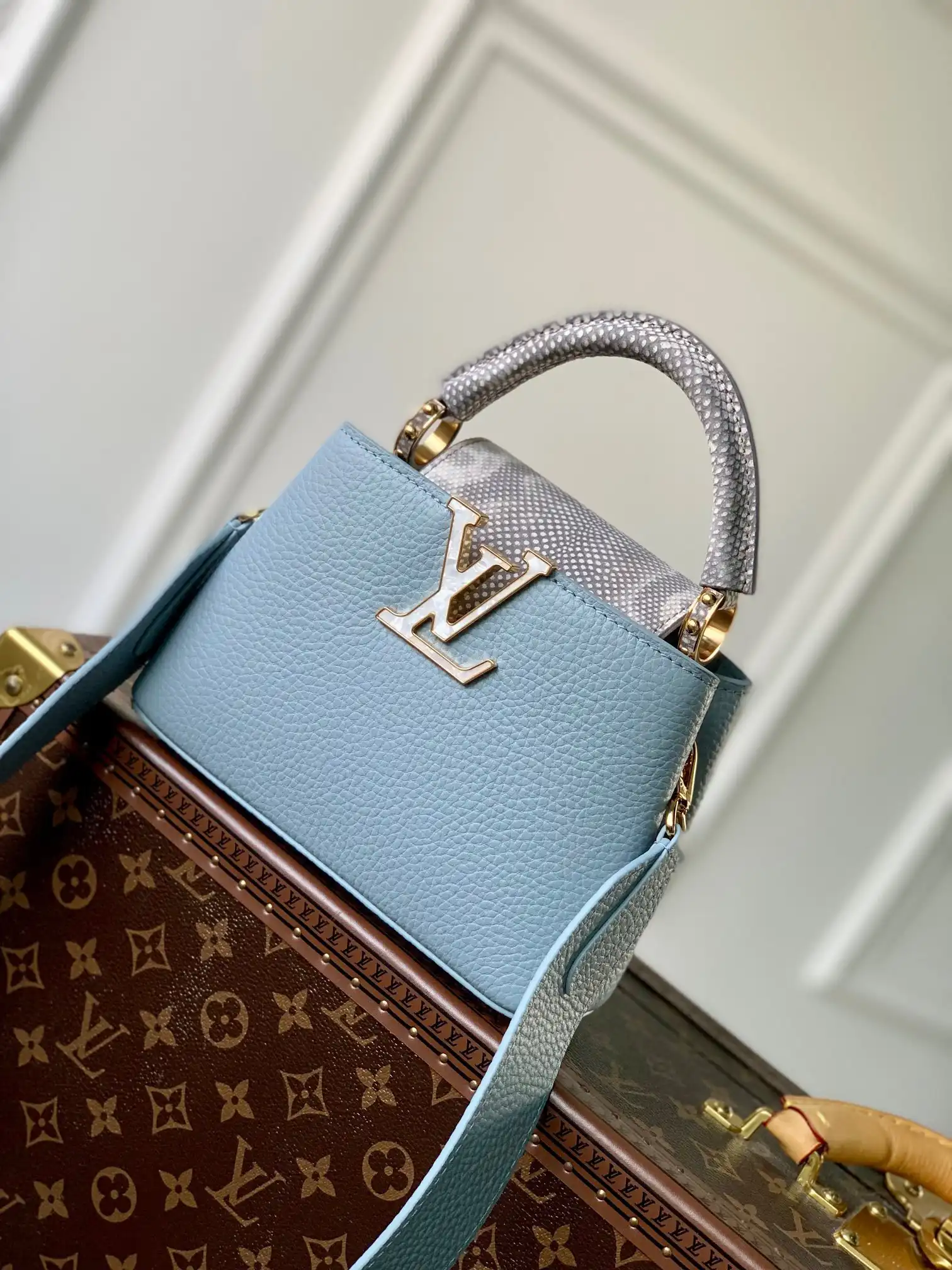 Affordable LOUIS VUITTON CAPUCINES MINI