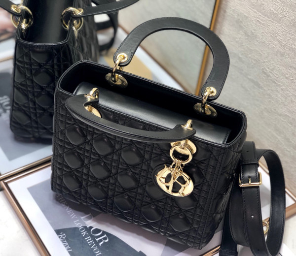 HOT SALE LADY dior GOLD SILVER-24CM