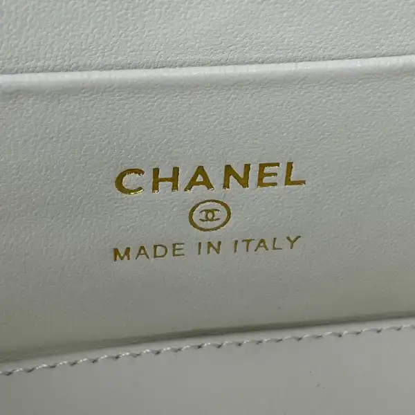 CHANEL SMALL VANITY WITH CHANELASSIC CHAIN