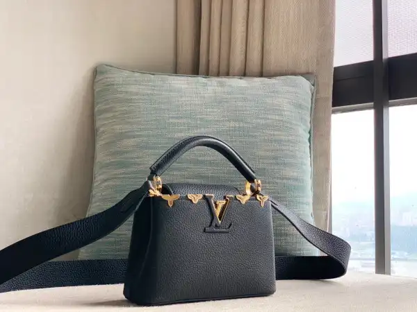 Affordable LOUIS VUITTON CAPUCINES MINI