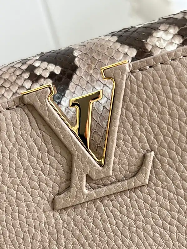 LOUIS VUITTON CAPUCINES BB