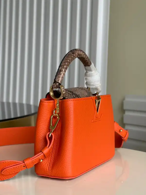 LOUIS VUITTON CAPUCINES MINI