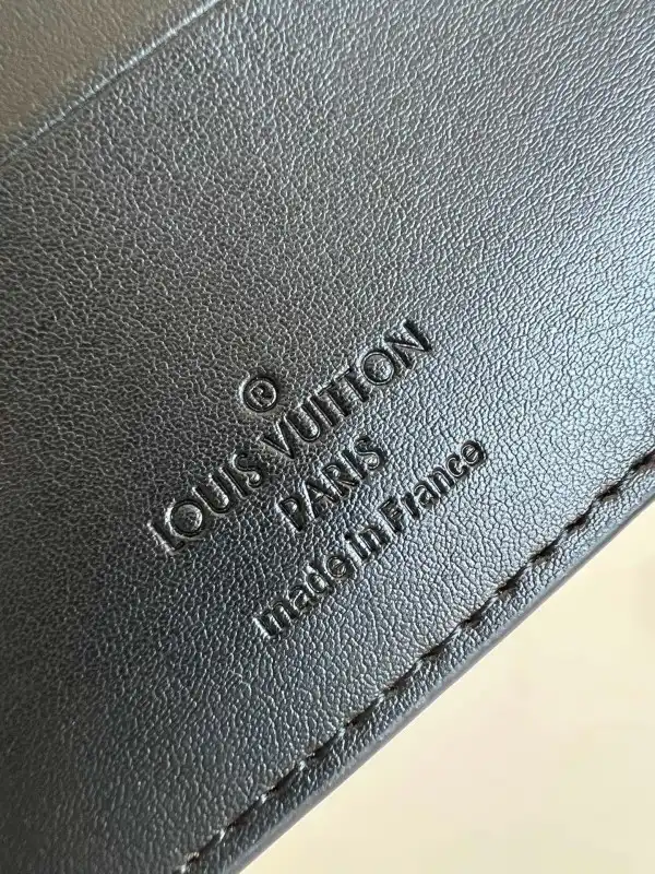 First bag ru LOUIS VUITTON MULTIPLE WALLET