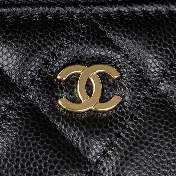 CHANEL SMALL VANITY WITH CHANELASSIC CHAIN