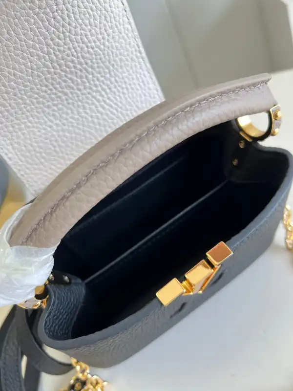 Cheap LOUIS VUITTON CAPUCINES MINI