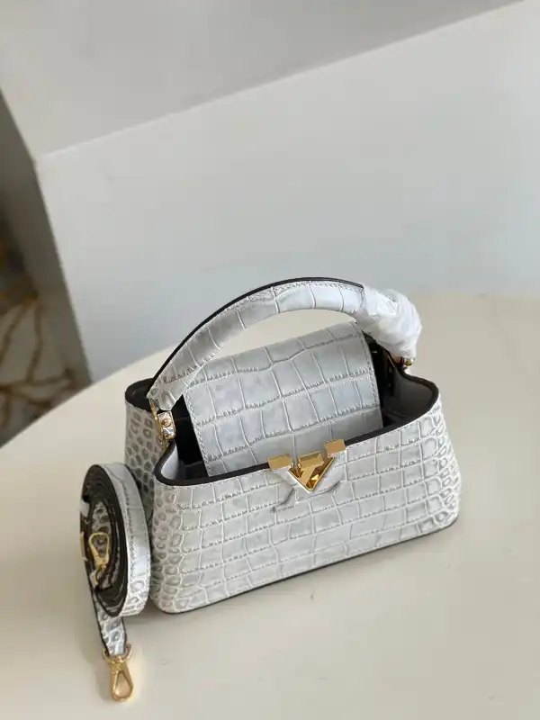 Cheap LOUIS VUITTON CAPUCINES MINI