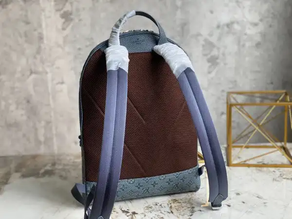 LOUIS VUITTON ELLIPSE BACKPACK