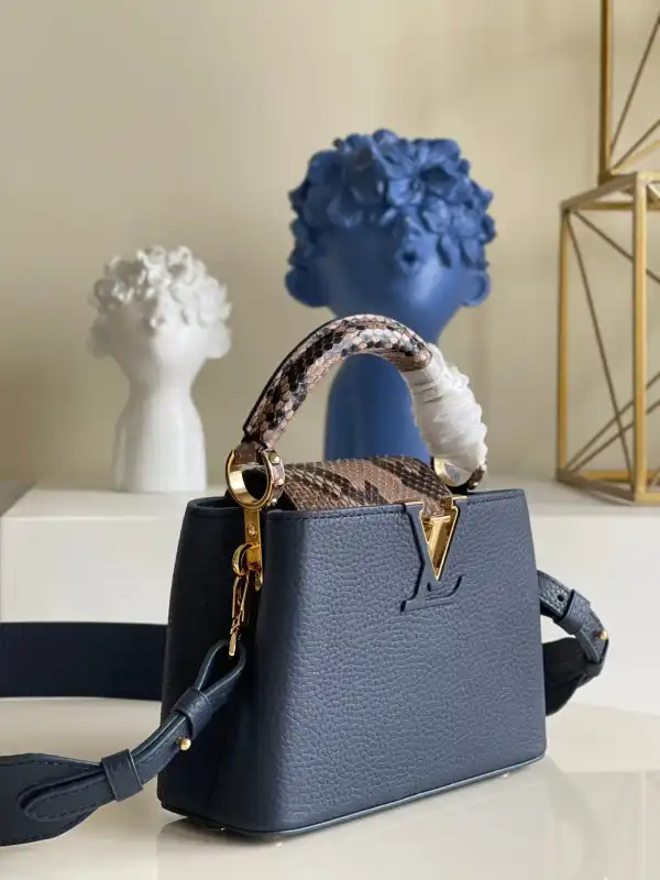 LOUIS VUITTON CAPUCINES MINI