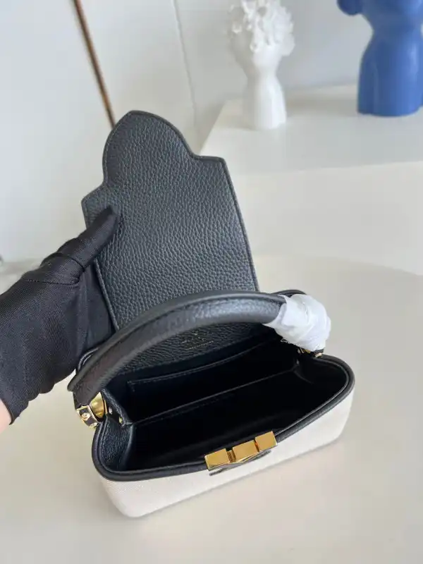 Cheap LOUIS VUITTON CAPUCINES MINI