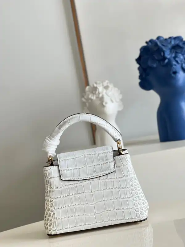 LOUIS VUITTON CAPUCINES MINI