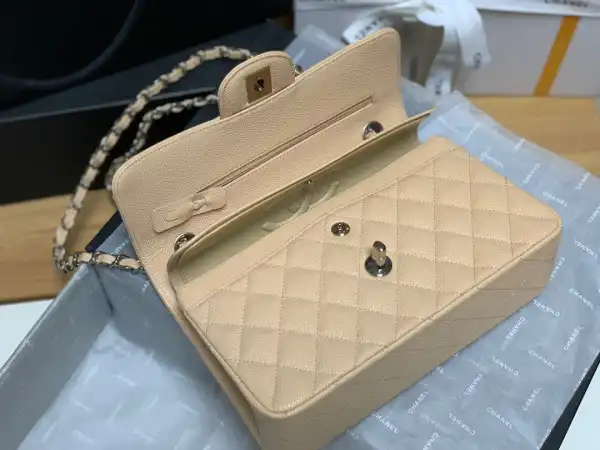 CHANEL FLAP BAG 23CM