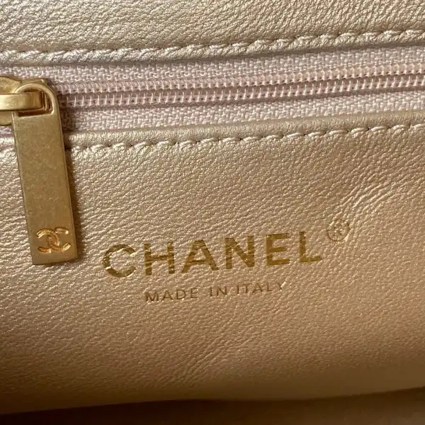 CHANEL SMALL HOBO BAG