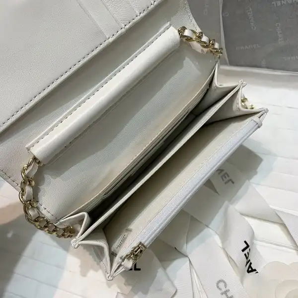 CHANEL MINI WALLET ON CHAIN