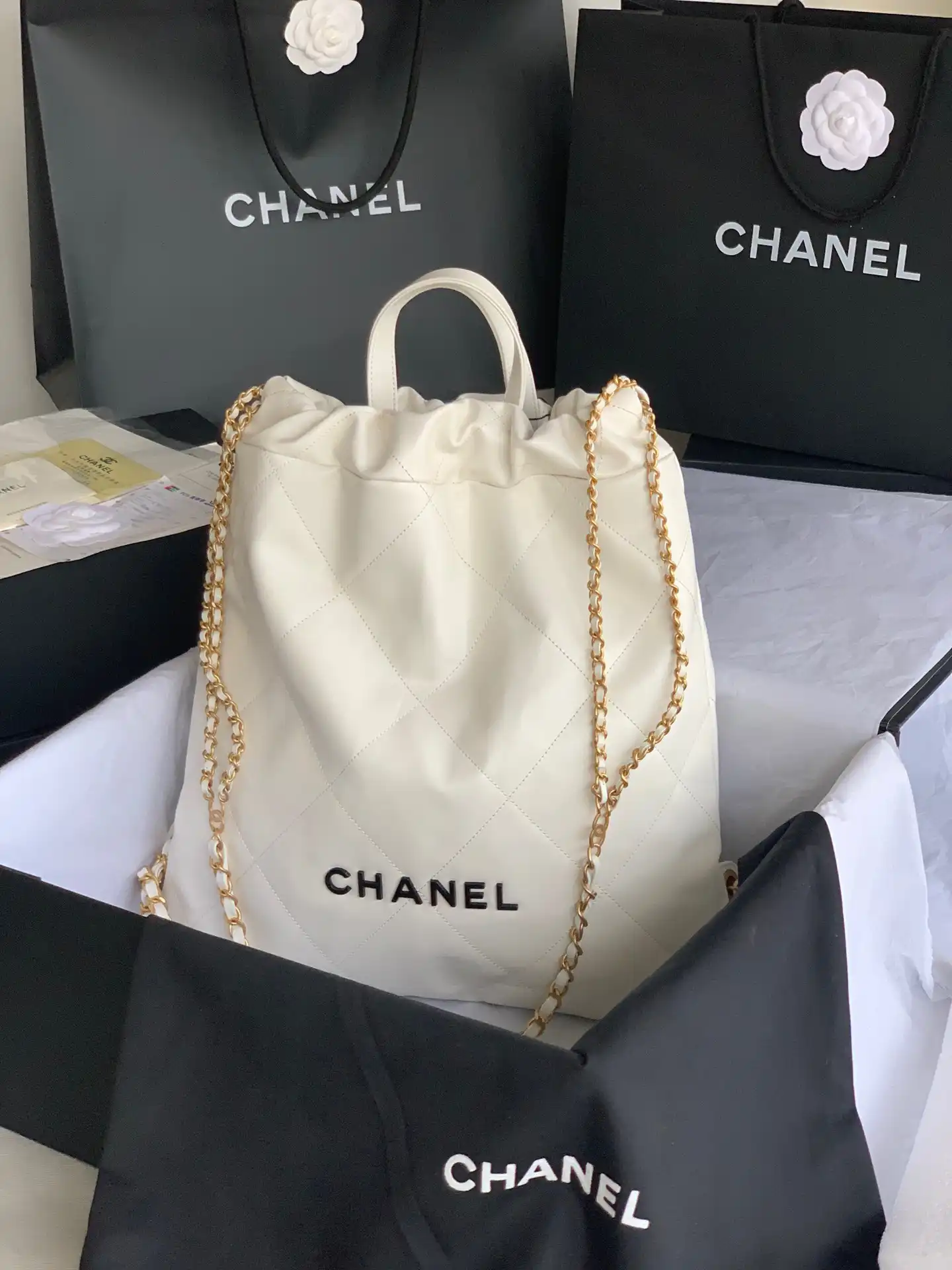 CHANEL LARGE BACKPACK 22