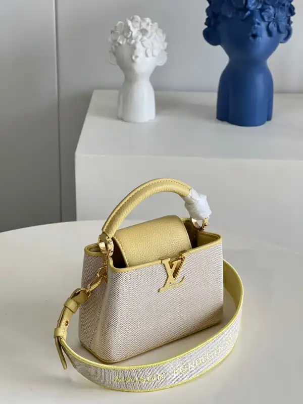 Cheap LOUIS VUITTON CAPUCINES MINI