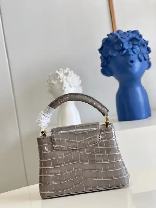 Affordable LOUIS VUITTON CAPUCINES MINI