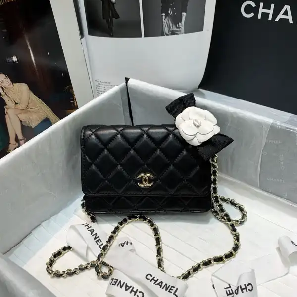 First bag ru CHANEL MINI WALLET ON CHAIN