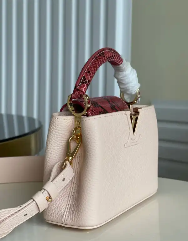 LOUIS VUITTON CAPUCINES MINI