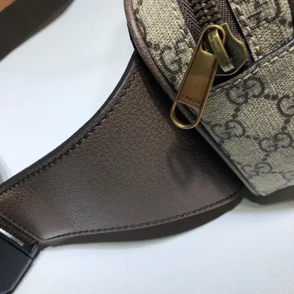 Frstbag ru GUCCI Ophidia GG belt bag