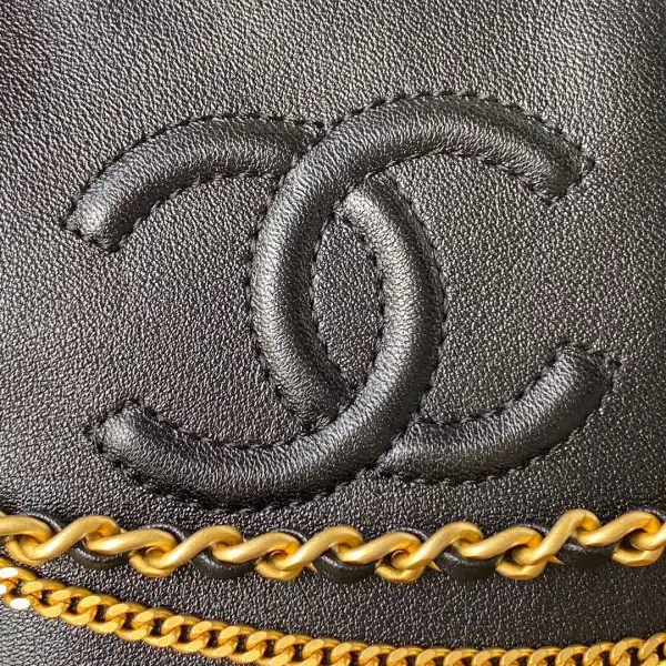 CHANEL camera bag