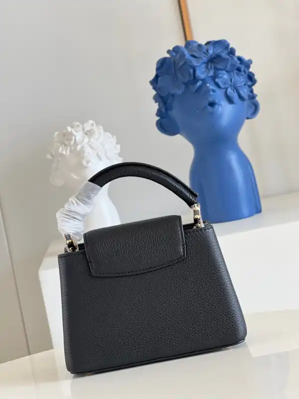 LOUIS VUITTON CAPUCINES MINI