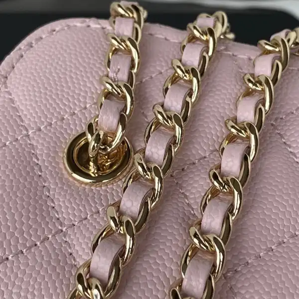 CHANEL SMALL VANITY WITH CHANELASSIC CHAIN