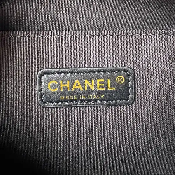 CHANEL camera bag