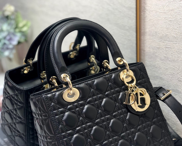 HOT SALE LADY dior GOLD SILVER-24CM