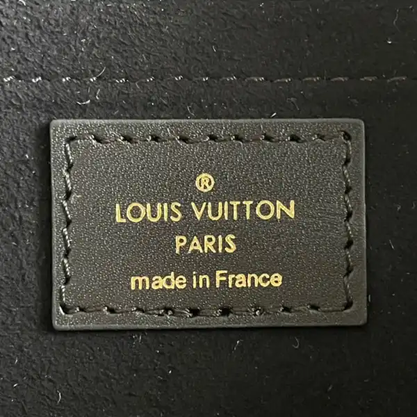 LOUIS VUITTON SPEEDY BANDOULIÈRE 20