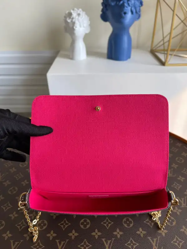 LOUIS VUITTON FÉLICIE POCHETTE