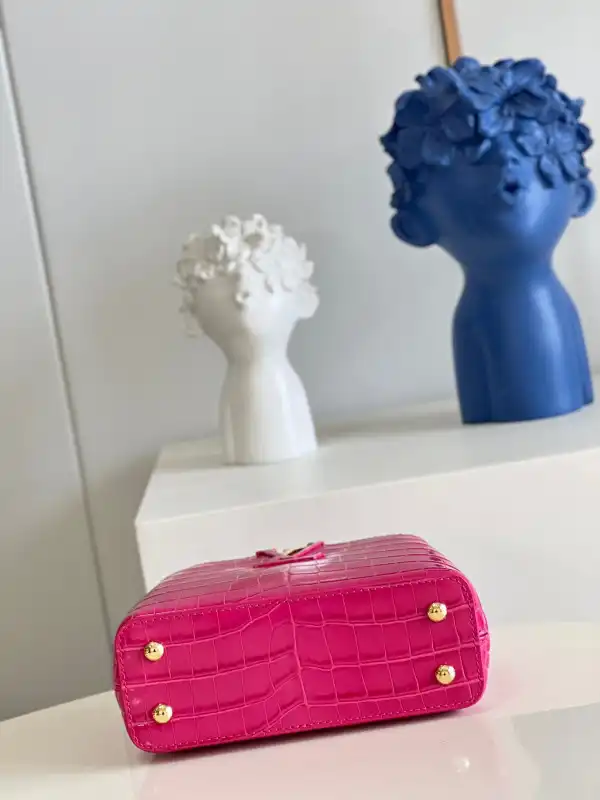 LOUIS VUITTON CAPUCINES MINI