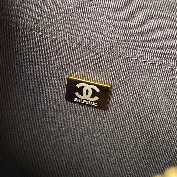 CHANEL camera bag