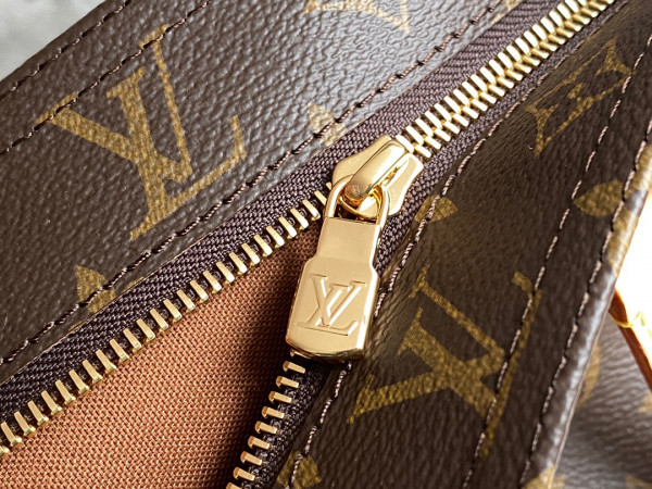 LOUIS VUITTON ALL-IN SMALL TOTE BAG