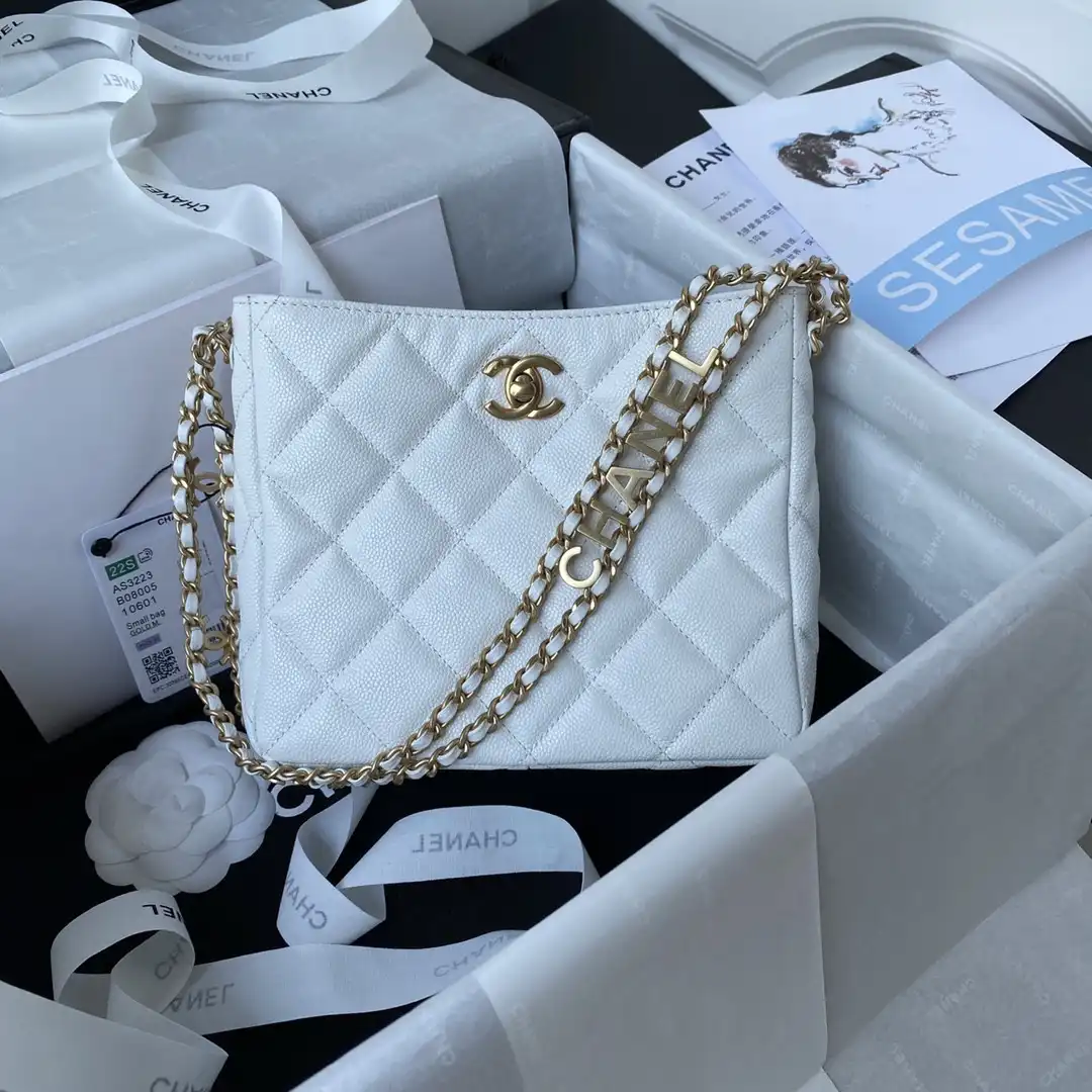 CHANEL SMALL HOBO BAG