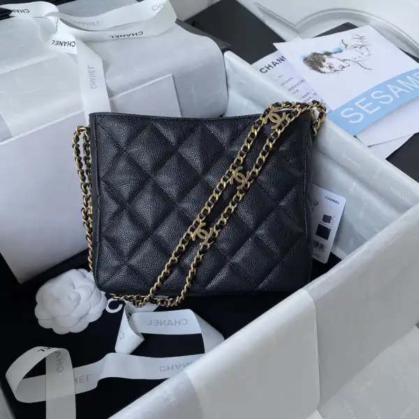 CHANEL SMALL HOBO BAG