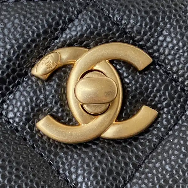 CHANEL SMALL HOBO BAG