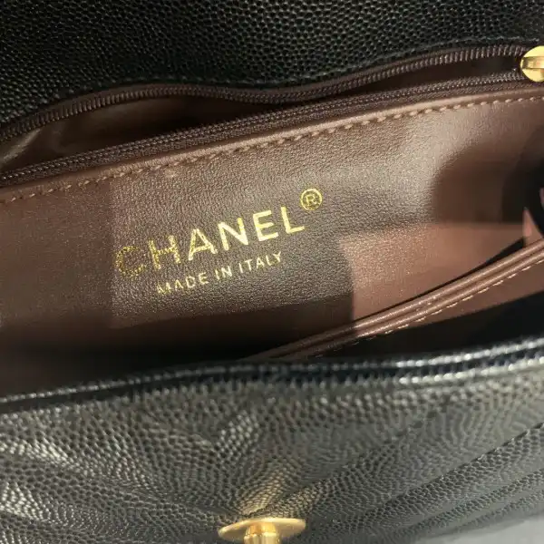 Frstbag ru CHANEL COCO HANDLE BAG